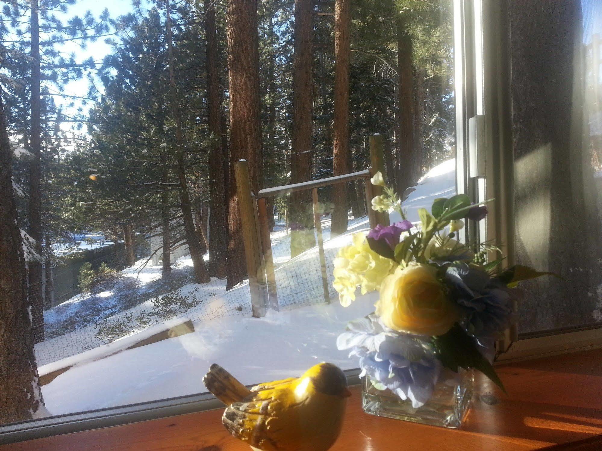 Innsbruck Lodge Mammoth Lakes Extérieur photo